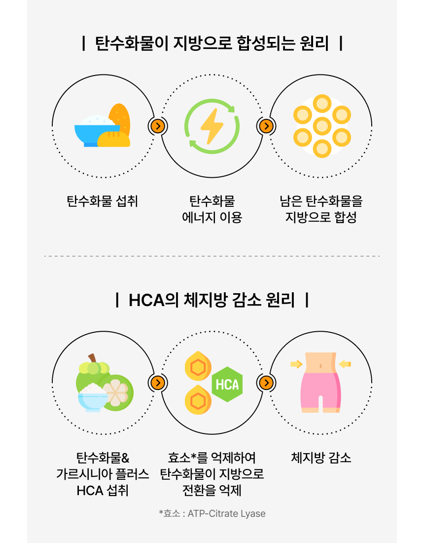 가르시니아