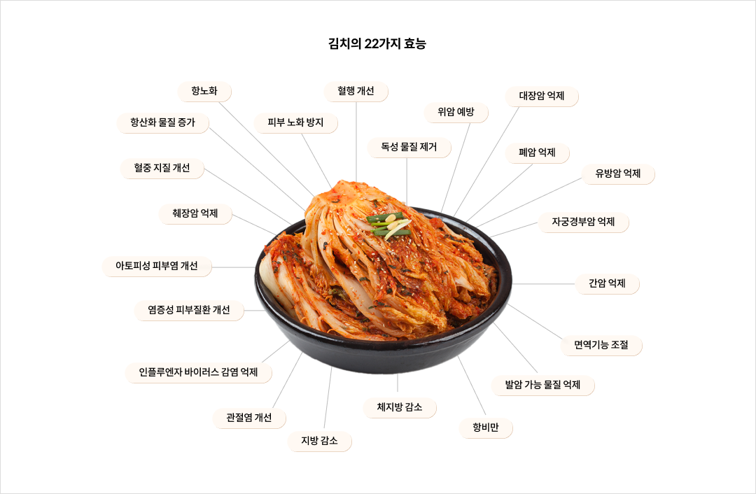 김치의 22가지 효능