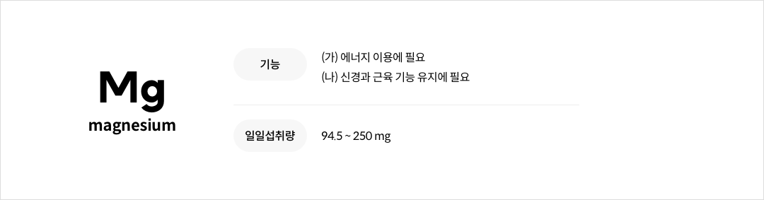 마그네슘의 기능성 및 일일섭취량