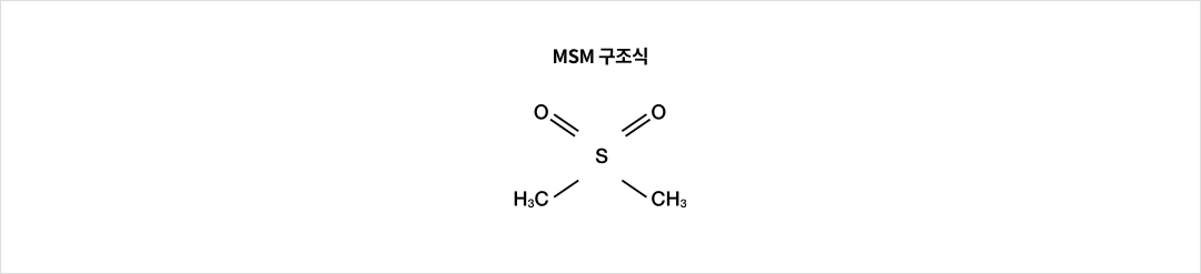 MSM 구조식