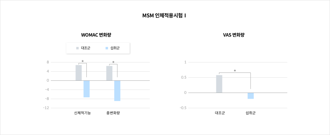 MSM 인체적용시험Ⅰ