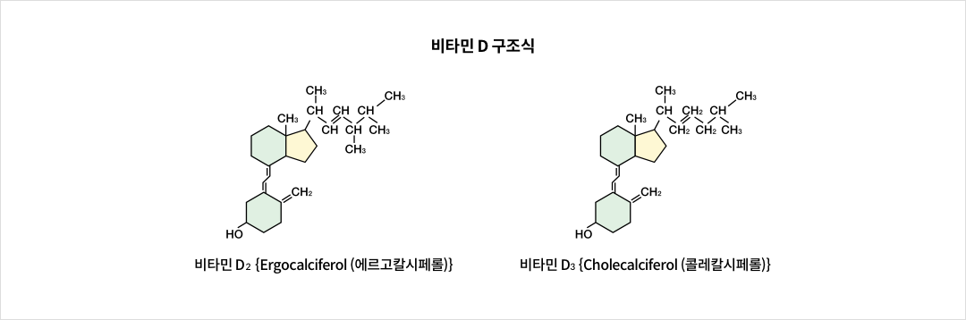 비타민 D 구조식