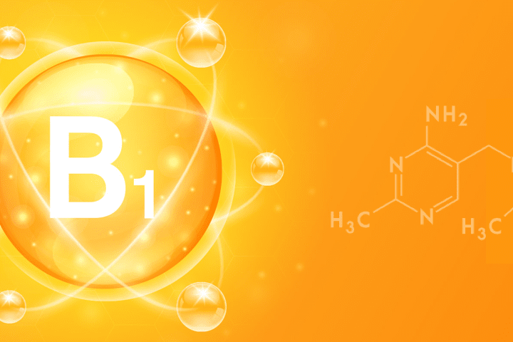 티아민(비타민 B1)